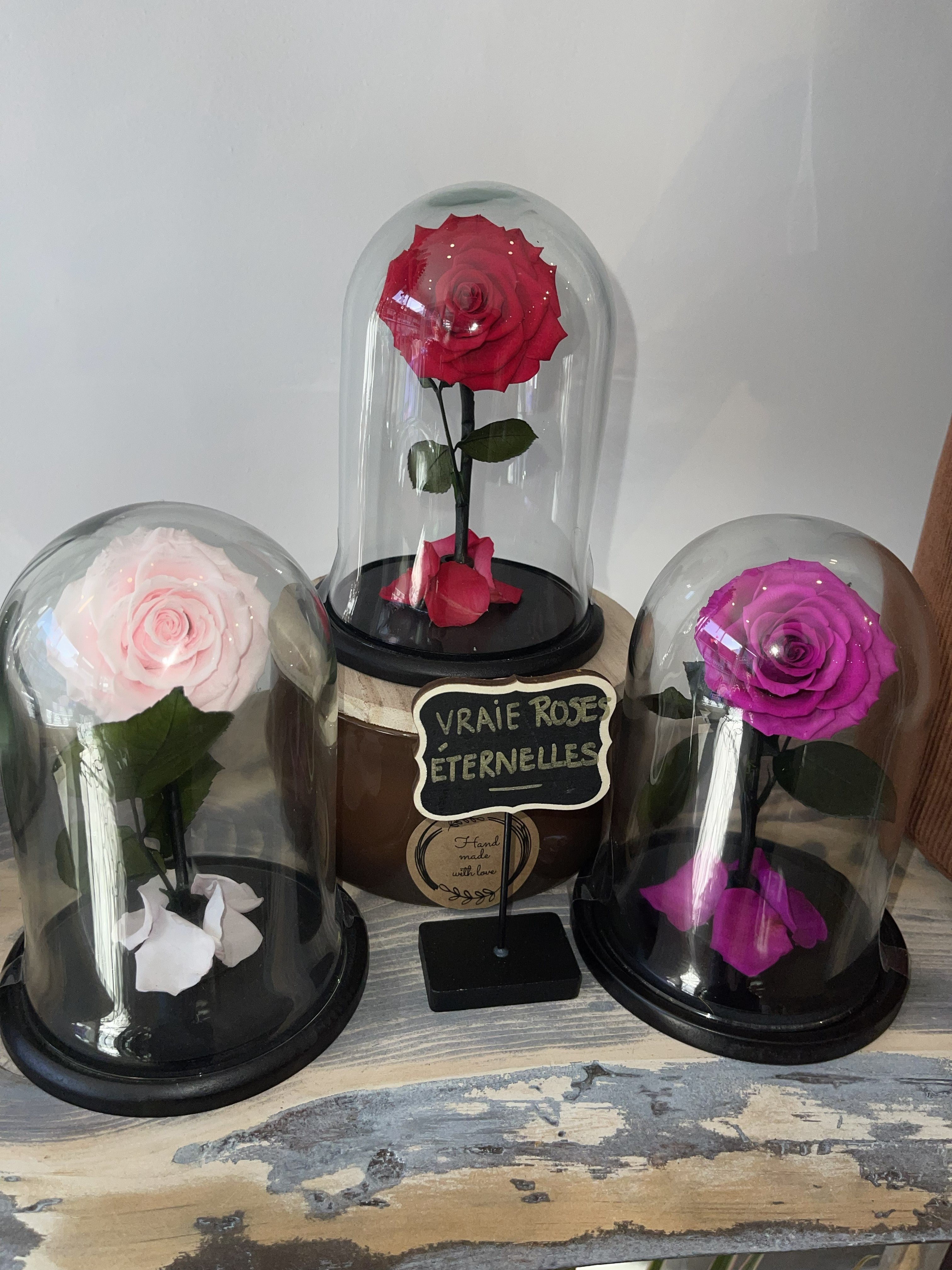 Eternal Rose under Glass Dome
