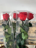 Single Eternal Rose Long Stem