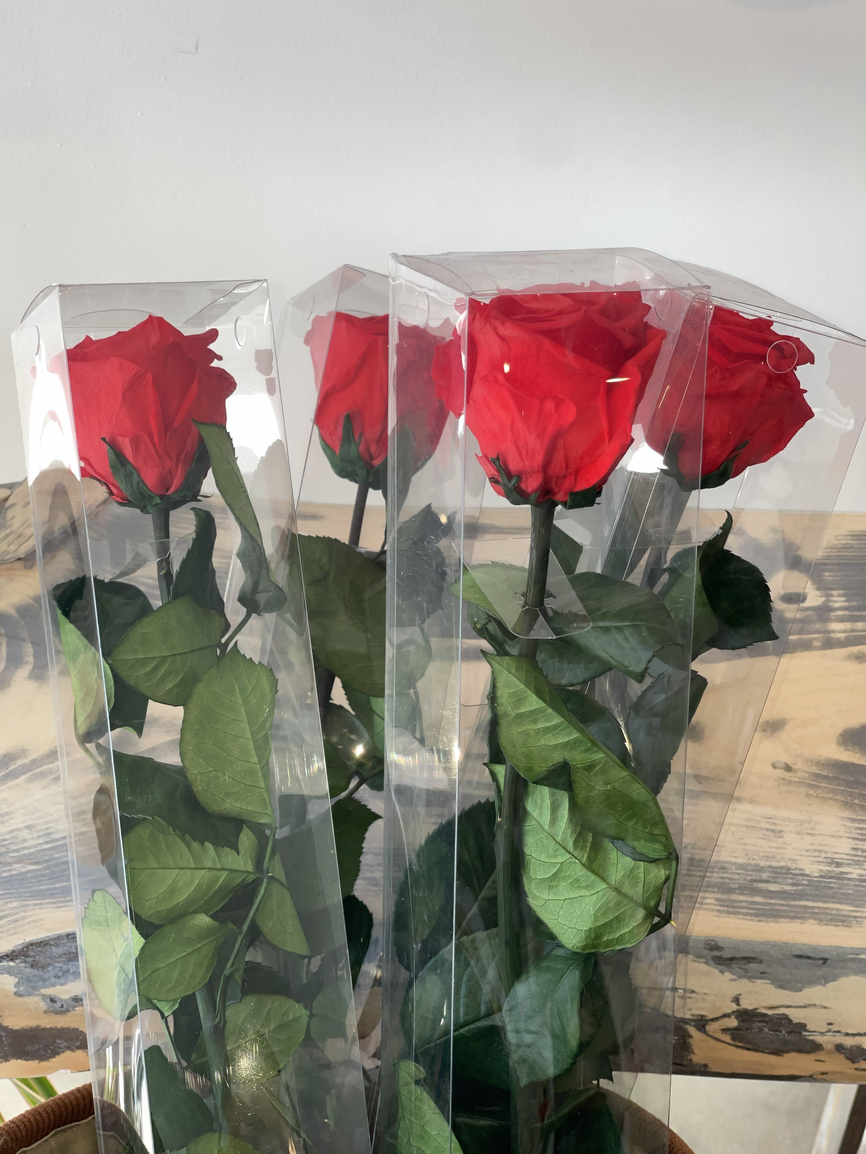 Single Eternal Rose Long Stem