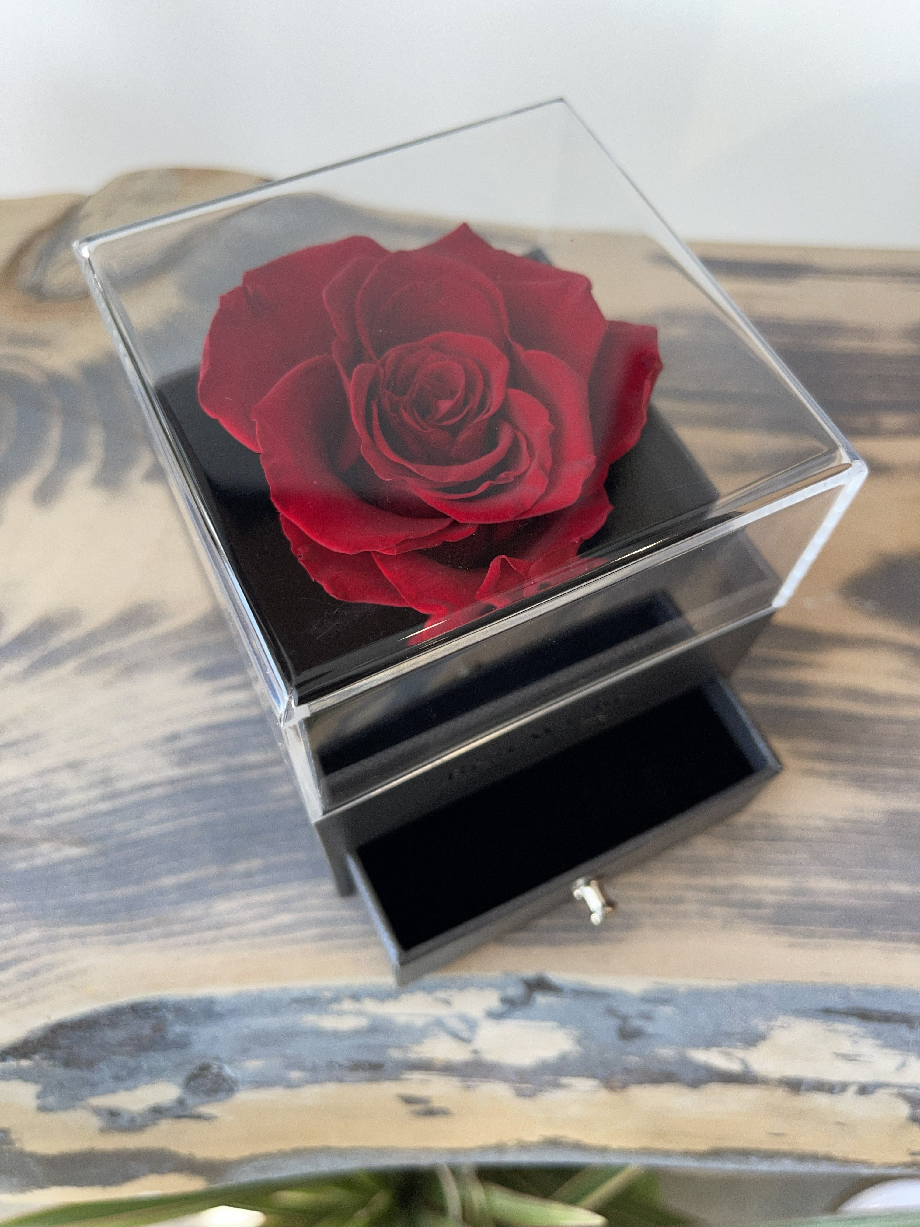 Eternal Rose with Jewelry Box