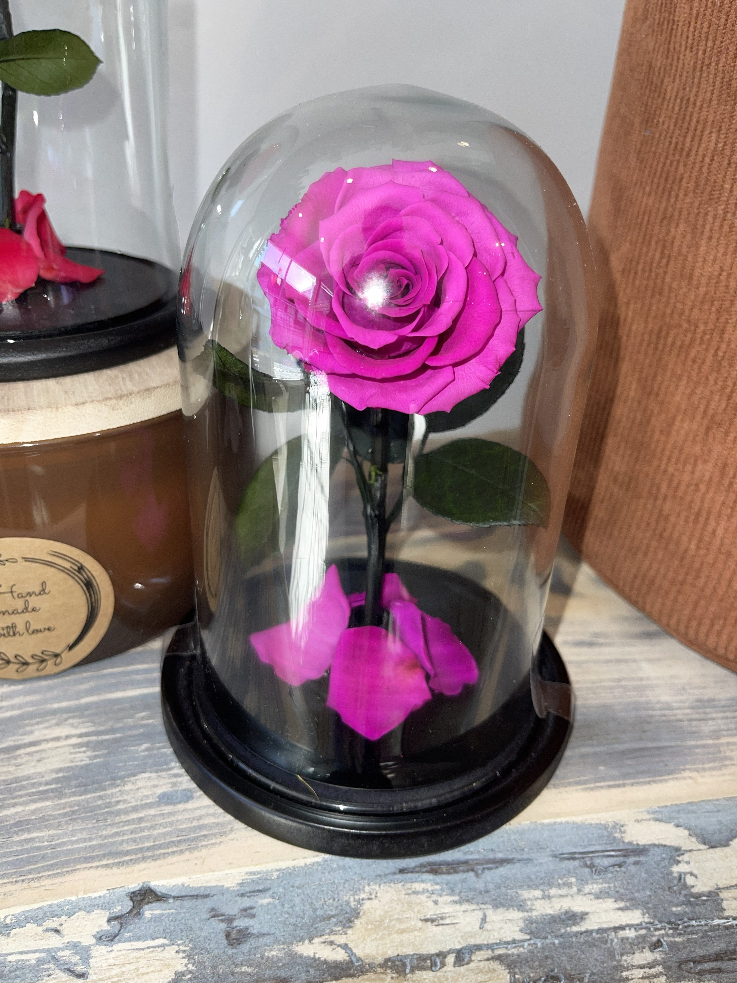 Eternal Rose under Glass Dome