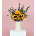Sunflower Sunshine